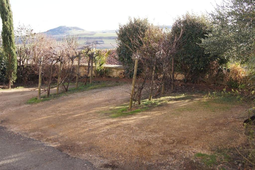 Les Pierres Blondes Apartment Montpeyroux  Bagian luar foto